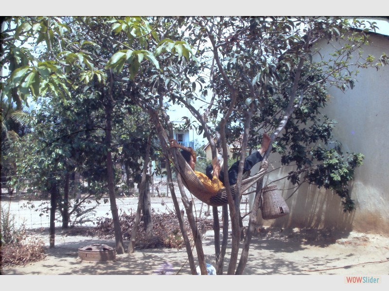Dondero00031